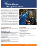 The Large Hadron Collider